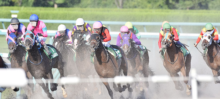競馬の競走馬がレースで走っているイメージ画像