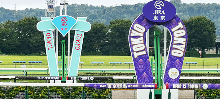 競馬場のスタート・ゴール地点が写っているイメージ画像