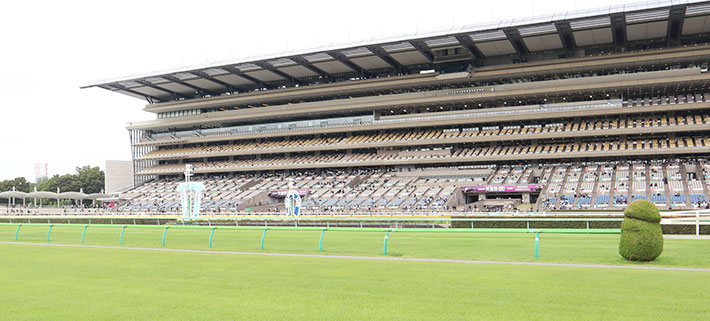 競馬場が写っているイメージ画像