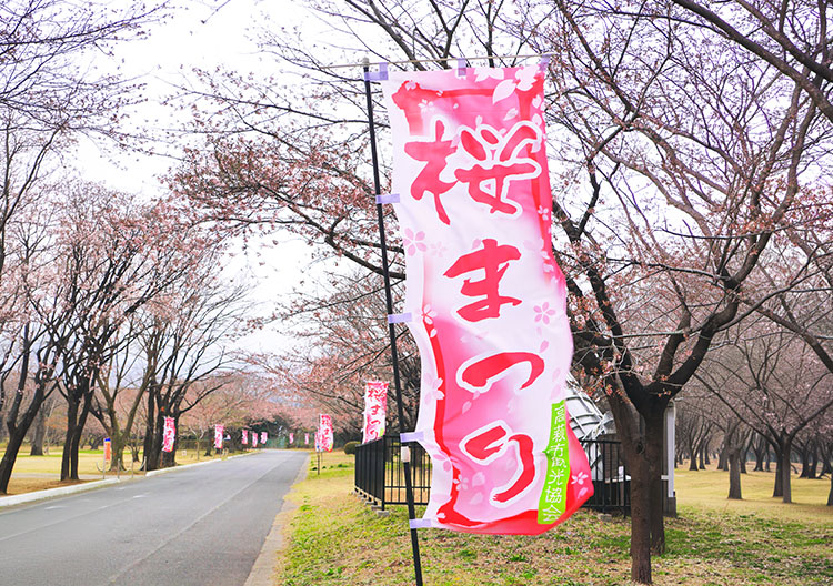 祭の製作事例一覧