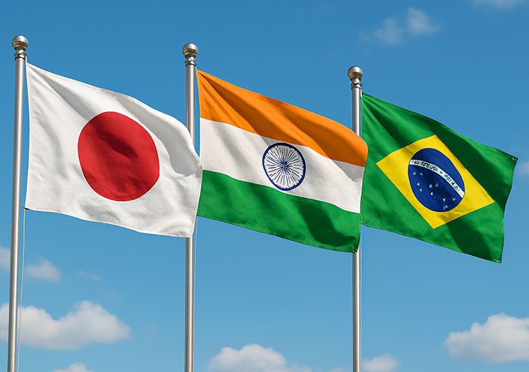国旗の製作事例一覧